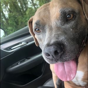 Meet your Posher, Laurie